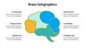 500018-brain-infographics-02