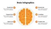 500018-brain-infographics-03