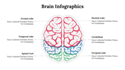 500018-brain-infographics-08