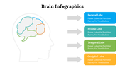 500018-brain-infographics-09