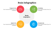 500018-brain-infographics-11