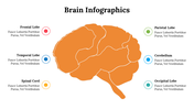 500018-brain-infographics-12