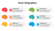 500018-brain-infographics-13