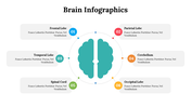 500018-brain-infographics-15