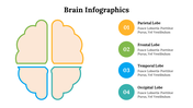 500018-brain-infographics-18