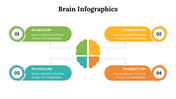 500018-brain-infographics-19