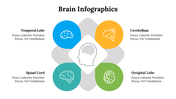 500018-brain-infographics-20