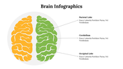 500018-brain-infographics-21