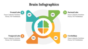 500018-brain-infographics-23