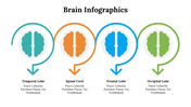 500018-brain-infographics-24