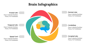 500018-brain-infographics-25