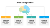 500018-brain-infographics-26