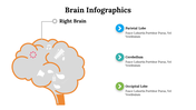 500018-brain-infographics-27