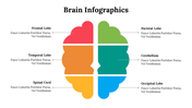 500018-brain-infographics-28