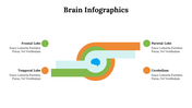 500018-brain-infographics-29