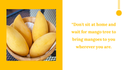 500033-indian-national-mango-day-03