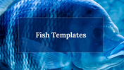 500071-fish-templates-01