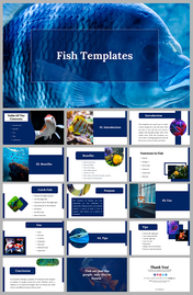 A pack of aquatic slides showcasing vibrant fish images, with text descriptions covering various topics.