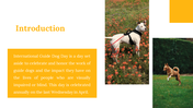 500075-international-guide-dog-day-04