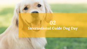 500075-international-guide-dog-day-05