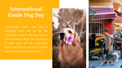 500075-international-guide-dog-day-06