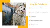 500075-international-guide-dog-day-08