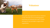 500075-international-guide-dog-day-11