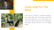 500075-international-guide-dog-day-24