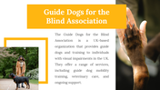 500075-international-guide-dog-day-26