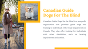 500075-international-guide-dog-day-27