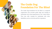 500075-international-guide-dog-day-28