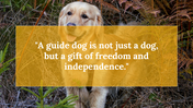 500075-international-guide-dog-day-30