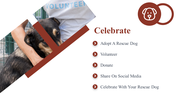 500104-national-rescue-dog-day-11