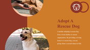 500104-national-rescue-dog-day-12