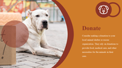 500104-national-rescue-dog-day-14