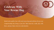 500104-national-rescue-dog-day-16