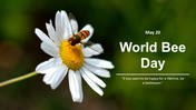 500106-world-bee-day-01