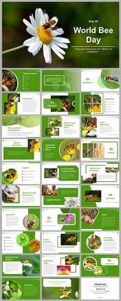 World Bee Day PPT Presentations And Google Slides Themes