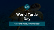 500108-world-turtle-day-01