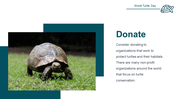 500108-world-turtle-day-23