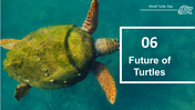 500108-world-turtle-day-24