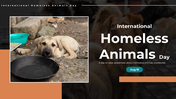 500181-international-homeless-animals-day-01