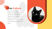 500182-national-black-cat-appreciation-day-09