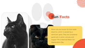 500182-national-black-cat-appreciation-day-11