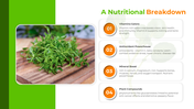 500272-watercress-nutritional-values-03