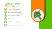 500272-watercress-nutritional-values-04