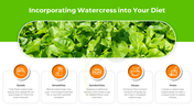 500272-watercress-nutritional-values-11