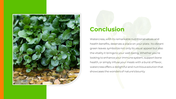 500272-watercress-nutritional-values-12