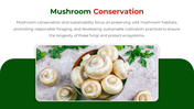 500329-national-mushroom-day-10