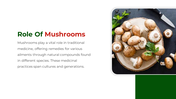 500329-national-mushroom-day-12